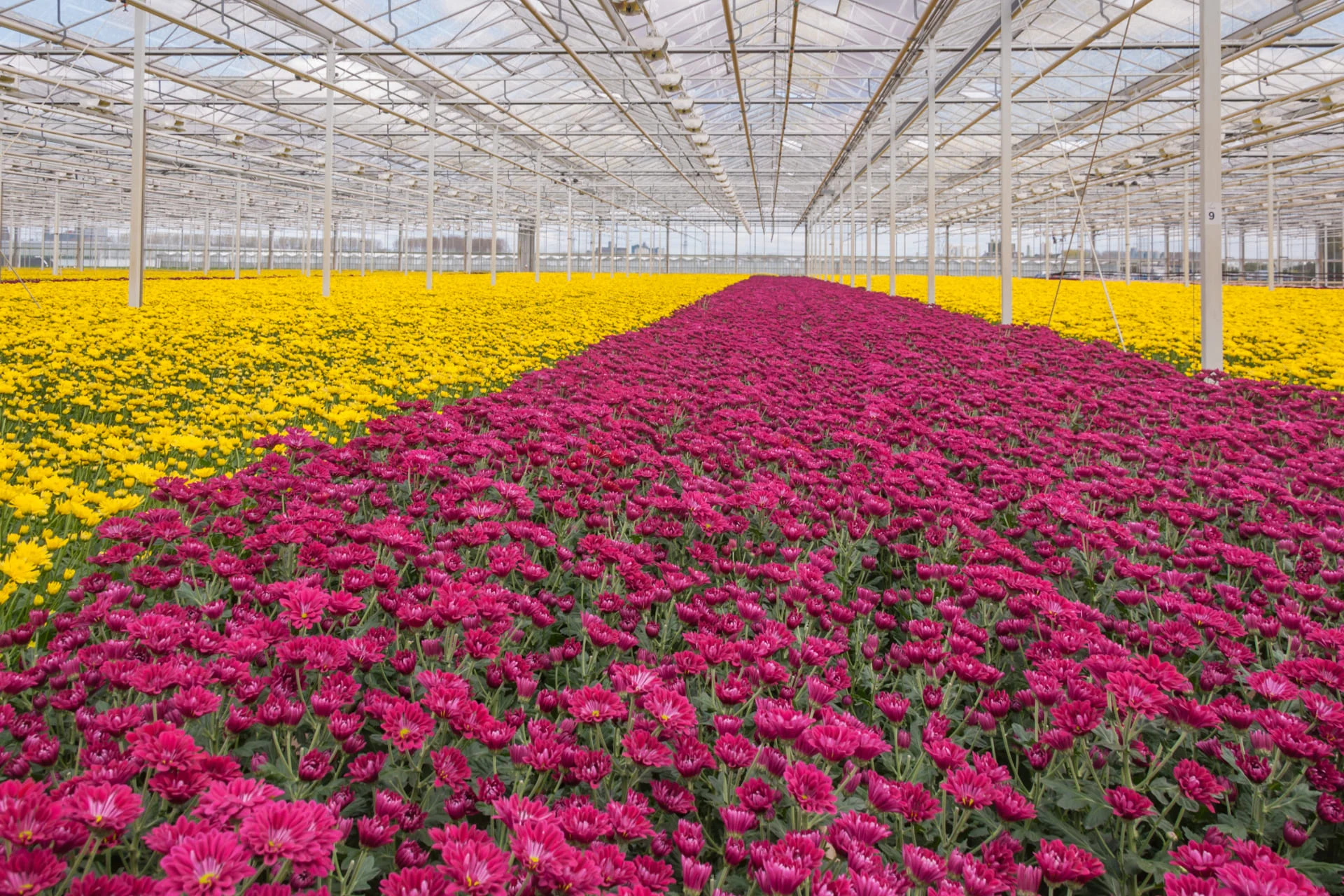 Agricultural Problems and Recommendations